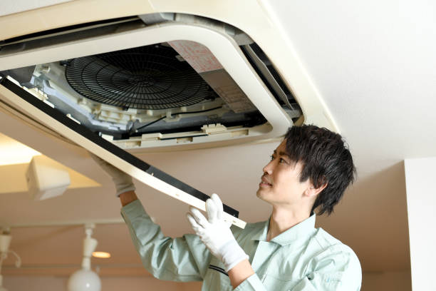 Best Air Vent Cleaning Services  in Liolnton, NC